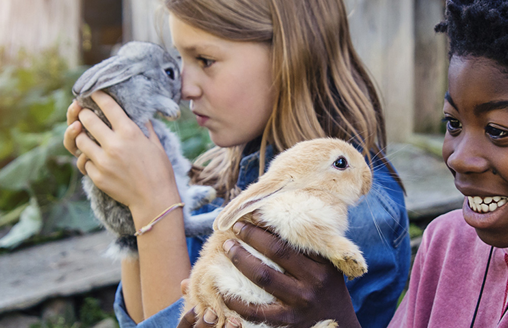 purina-kids-holding-rabbits-pets-feature